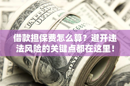 济南借款担保费怎么算？避开违法风险的关键点都在这里！