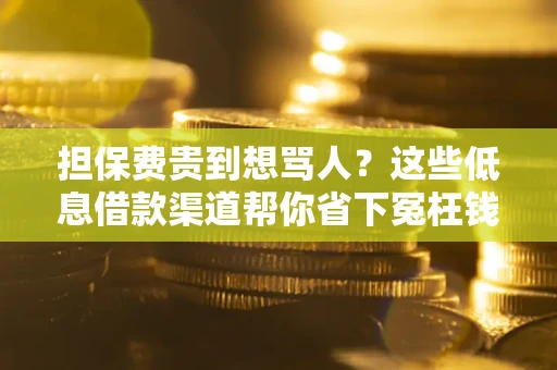 济南担保费贵到想骂人？这些低息借款渠道帮你省下冤枉钱