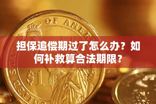 济南担保追偿期过了怎么办？如何补救算合法期限？