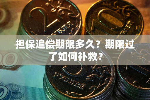 济南担保追偿期限多久？期限过了如何补救？