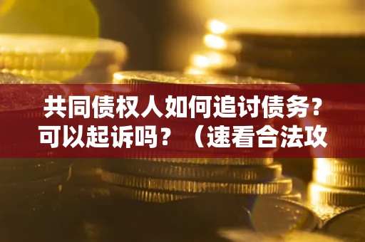 济南共同债权人如何追讨债务？可以起诉吗？（速看合法攻略）